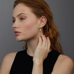 14k Gold Star Hoop Earrings